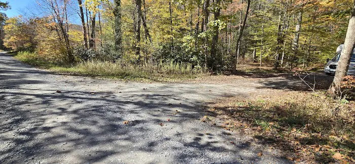 Lower Glady Dispersed Campground Picture 9