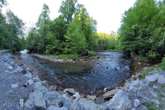 Lower Glady Dispersed Campground Picture 6