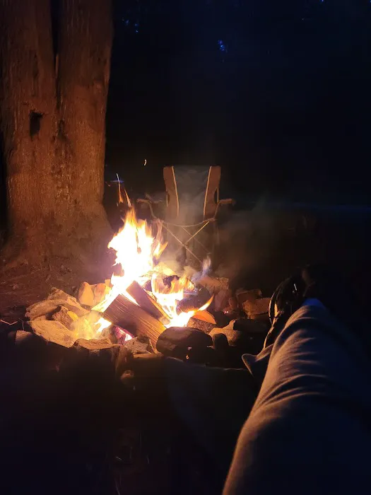 Lower Glady Dispersed Campground Picture 4