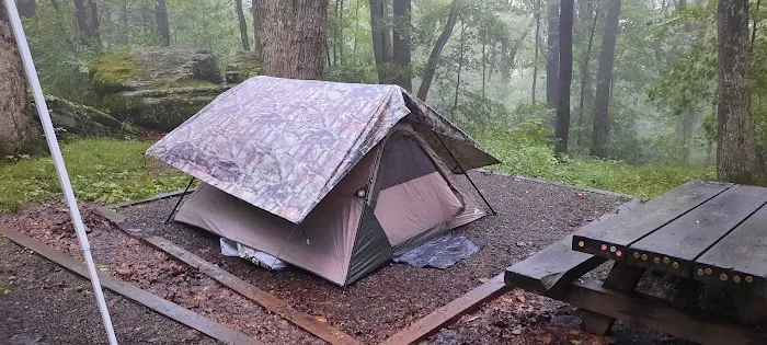 Bear Heaven Campground Picture 1