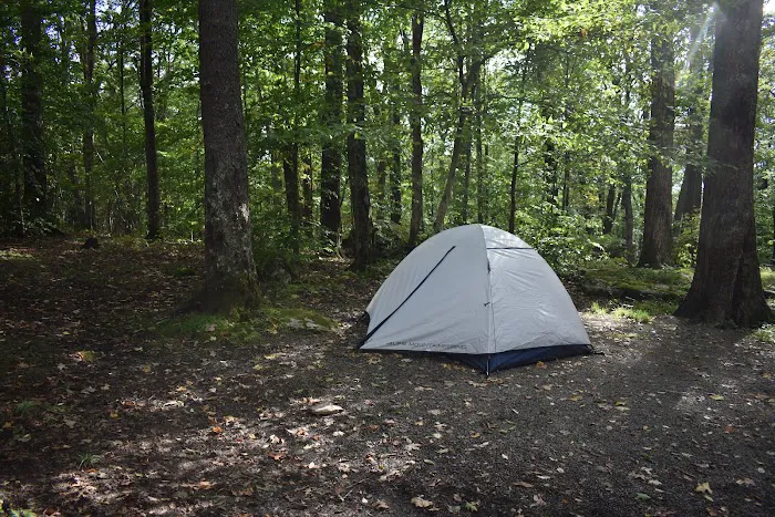 Bear Heaven Campground Picture 5