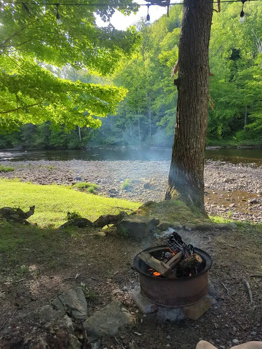 Shavers Fork Campground Picture 10