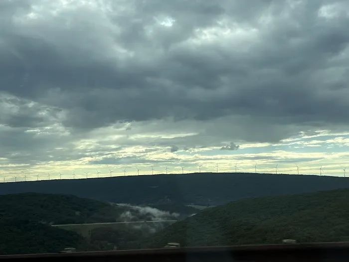 Shavers Fork Campground Picture 2