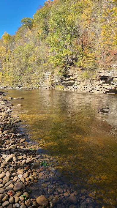 Shavers Fork Campground Picture 7