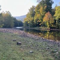 Camp Stoops LLC. ico