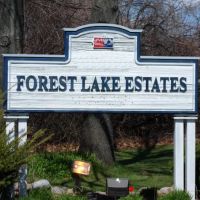 Forest Lake Estates ico