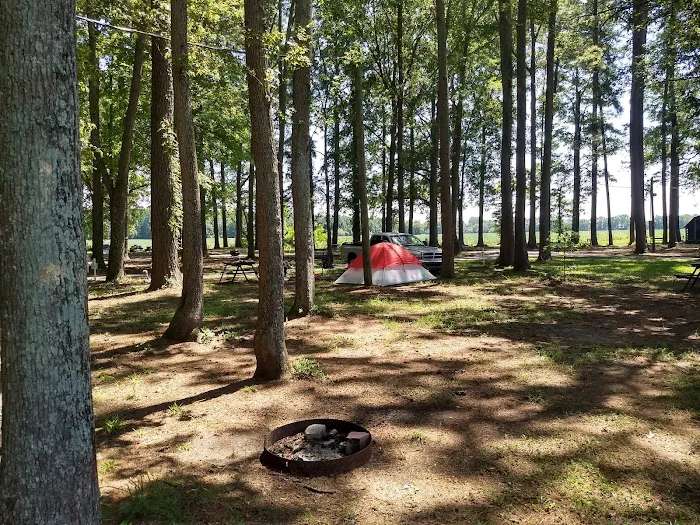 Chesapeake Campground Picture 10