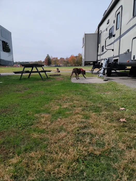 Chesapeake Campground Picture 6