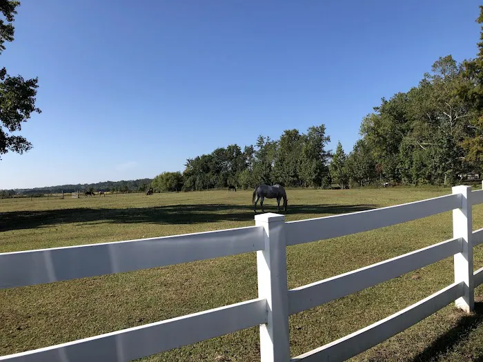 Chesapeake Campground Picture 7