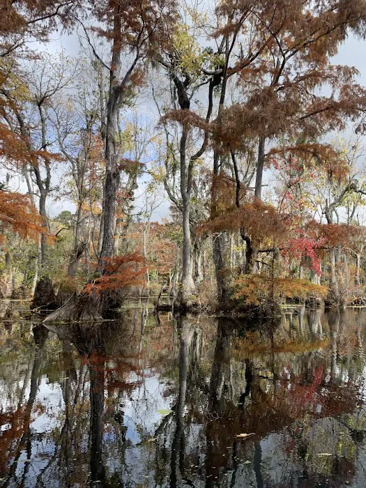 Merchants Millpond Family Campground Picture 6