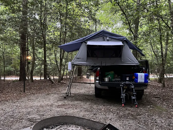 Merchants Millpond Family Campground Picture 8