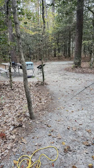 Merchants Millpond Family Campground Picture 1