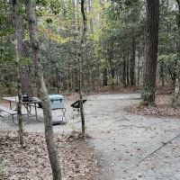Merchants Millpond Family Campground ico