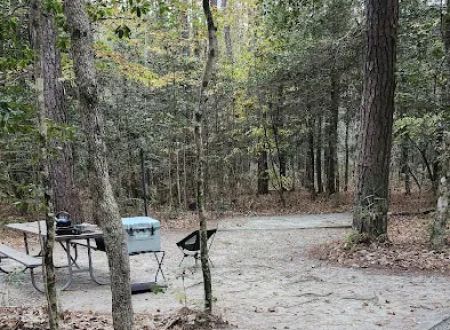 Merchants Millpond Family Campground