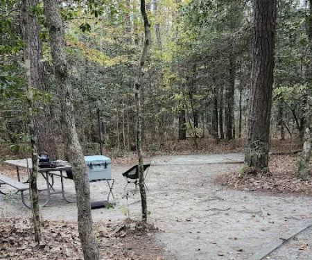 Merchants Millpond Family Campground