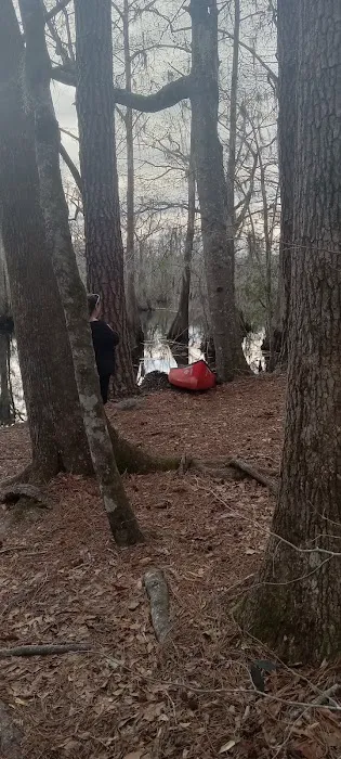 Merchants Millpond Family Campground Picture 5