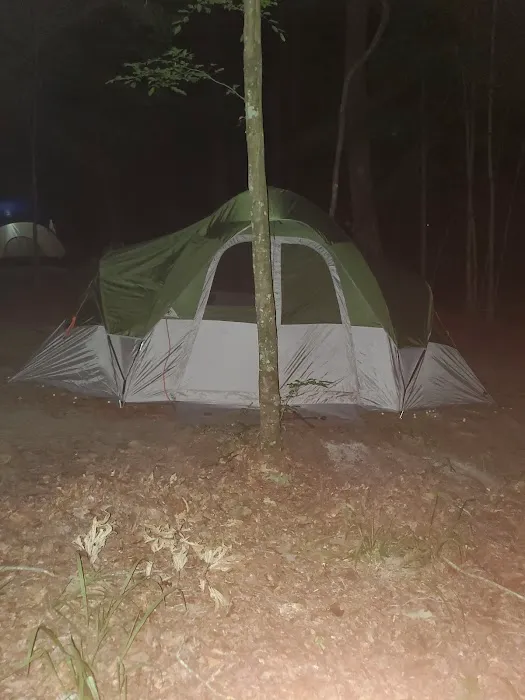 Merchants Millpond State Park - Walk-in Group Campsites Picture 1
