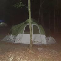 Merchants Millpond State Park - Walk-in Group Campsites ico