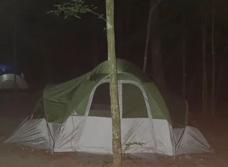 Merchants Millpond State Park - Walk-in Group Campsites