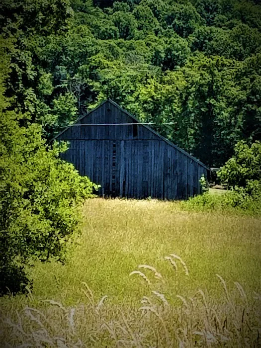 Morgantown Campground Picture 5