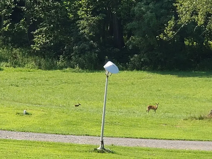 Indian Meadows Campground Picture 3