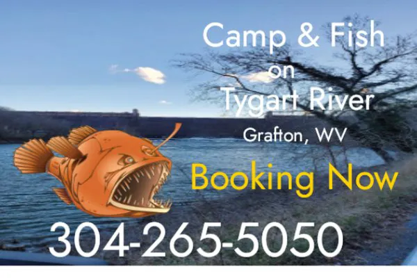 BaitFishCamping Picture 1