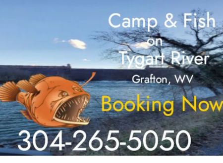 BaitFishCamping