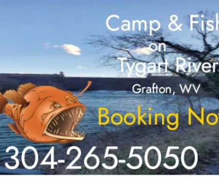 BaitFishCamping