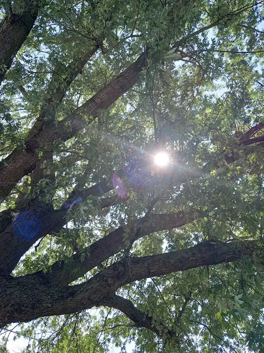 Sawyier Pointe Picture 7