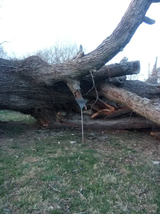 Capital Mobile Home Park Picture 10