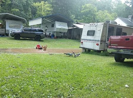 Hidden Springs Campground