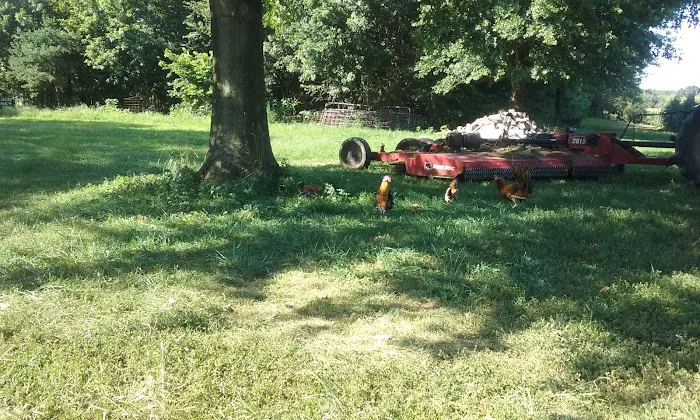 Duckers Mobile Home Park Picture 7