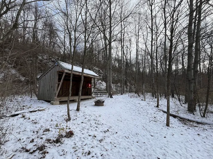 Mines and Meadows Campground Picture 1
