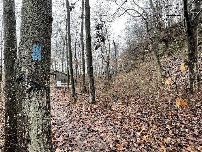 Mines and Meadows Campground Picture 10