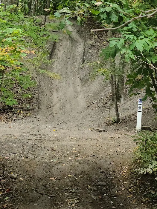 Valley View Campground Picture 2
