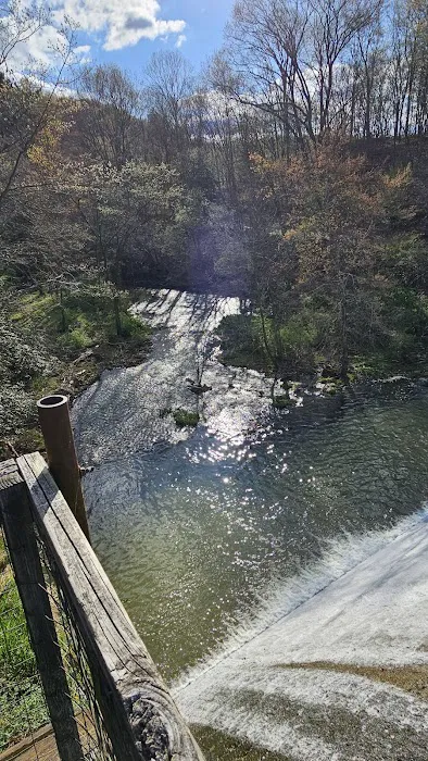 Tomlinson Run State Park Picture 10
