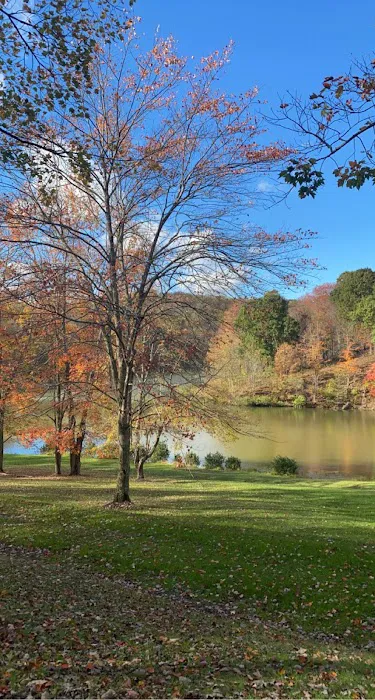Tomlinson Run State Park Picture 8