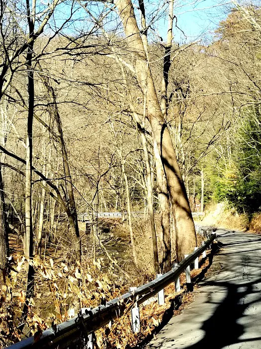 Tomlinson Run State Park Picture 4