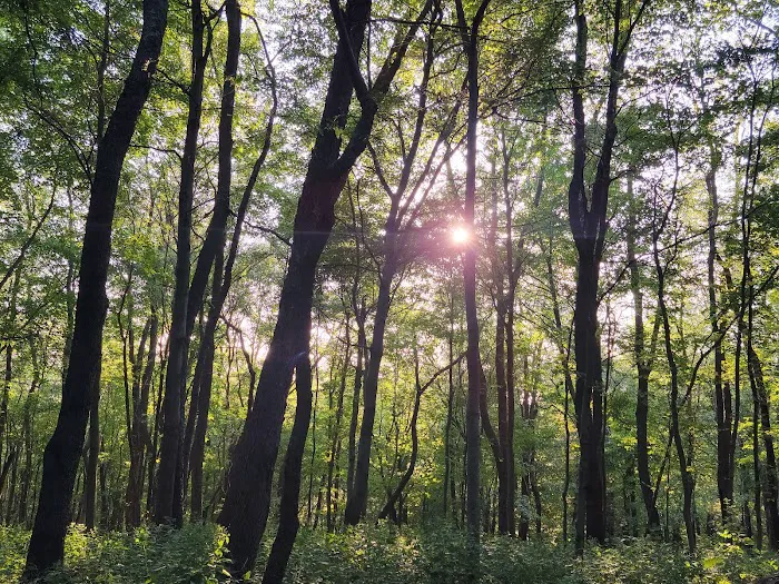 Tomlinson Run State Park Picture 3