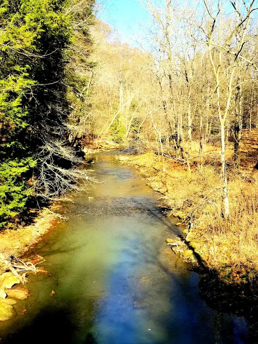 Tomlinson Run State Park Picture 2