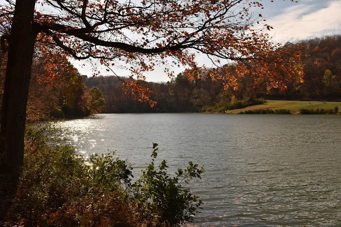 Tomlinson Run State Park Picture 6