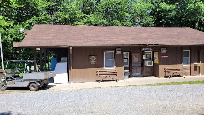 Tomlinson Run State Park Campground Picture 2