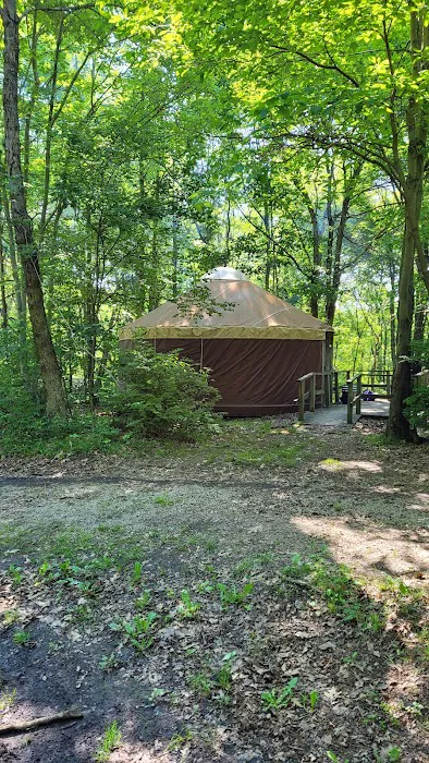 Tomlinson Run State Park Campground Picture 1