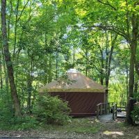 Tomlinson Run State Park Campground ico