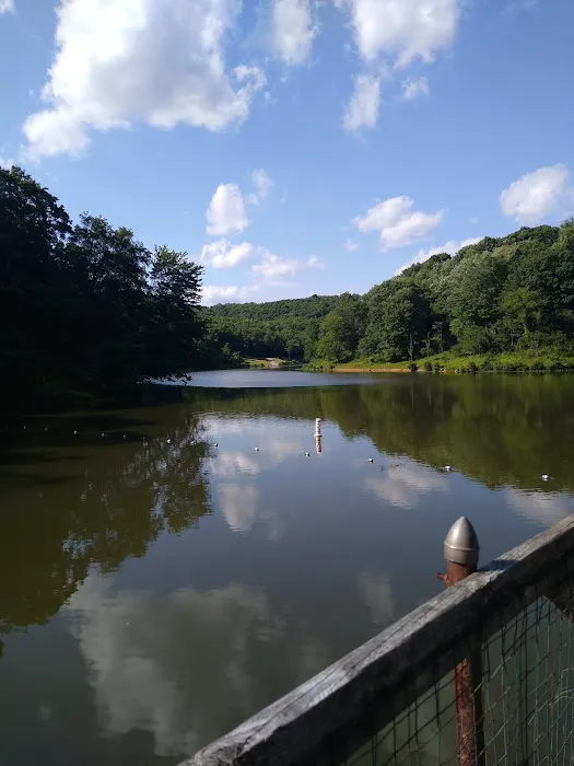 Tomlinson Run State Park Campground Picture 5