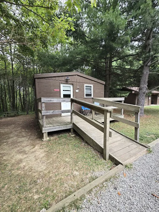 Tomlinson Run State Park Campground Picture 7