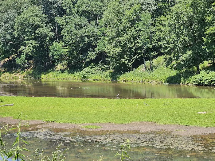 Tomlinson Run State Park Campground Picture 8
