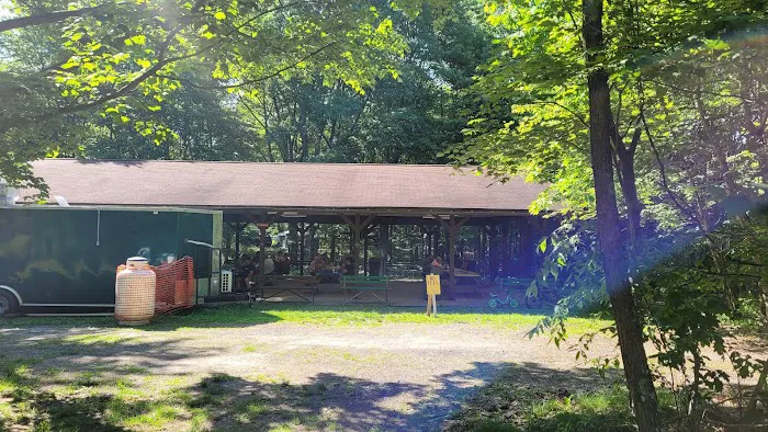 Tomlinson Run State Park Campground Picture 3