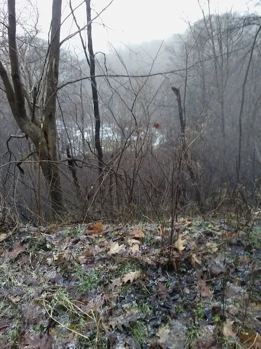 Hollow Rock Campground Picture 5
