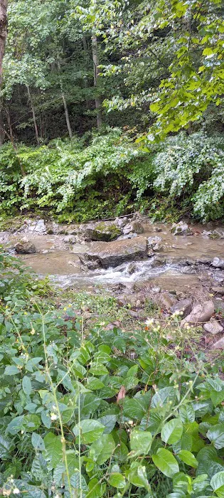 Maier family camp and market LLC. Picture 7